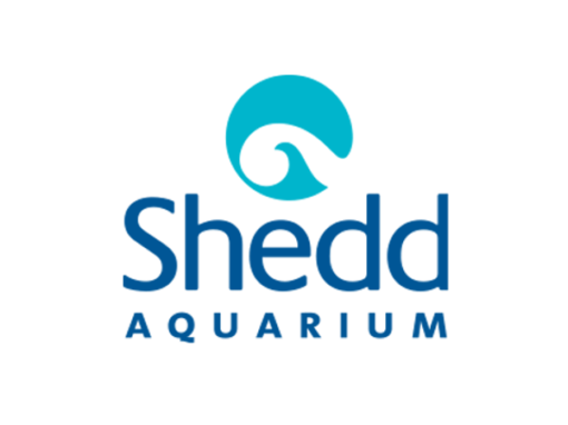 John G Shedd Aquarium