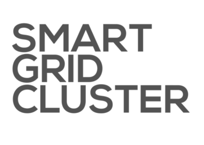 Smart Grid Cluster
